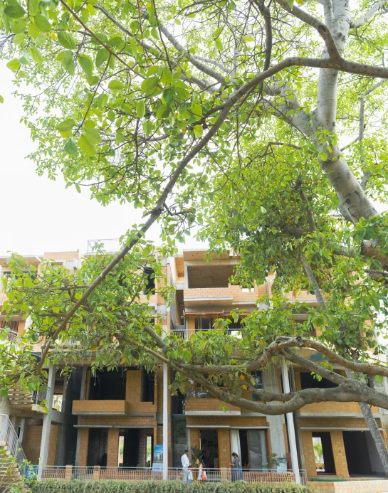 aranya-banner